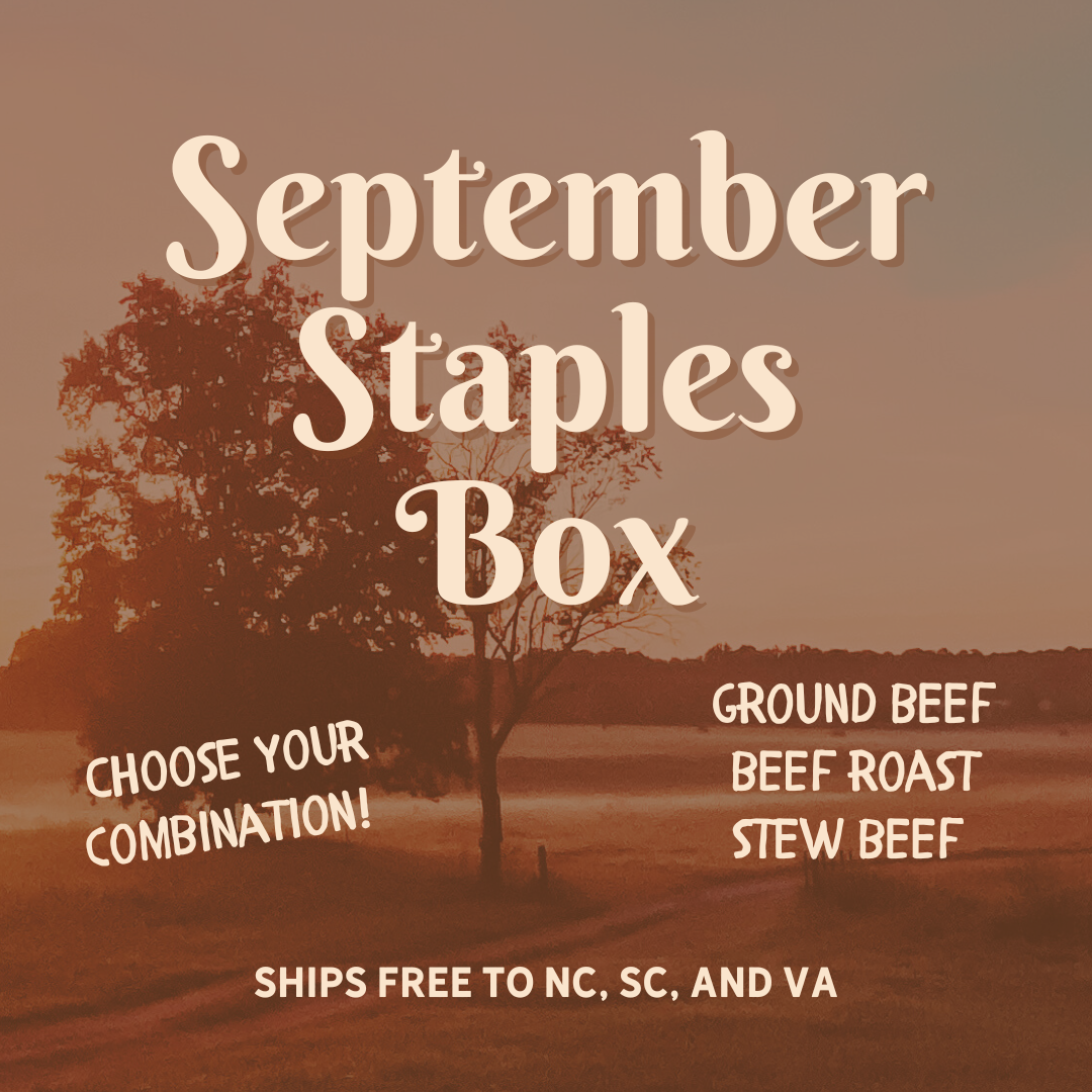 September Staples Box - ships FREE to NC, SC, and VA