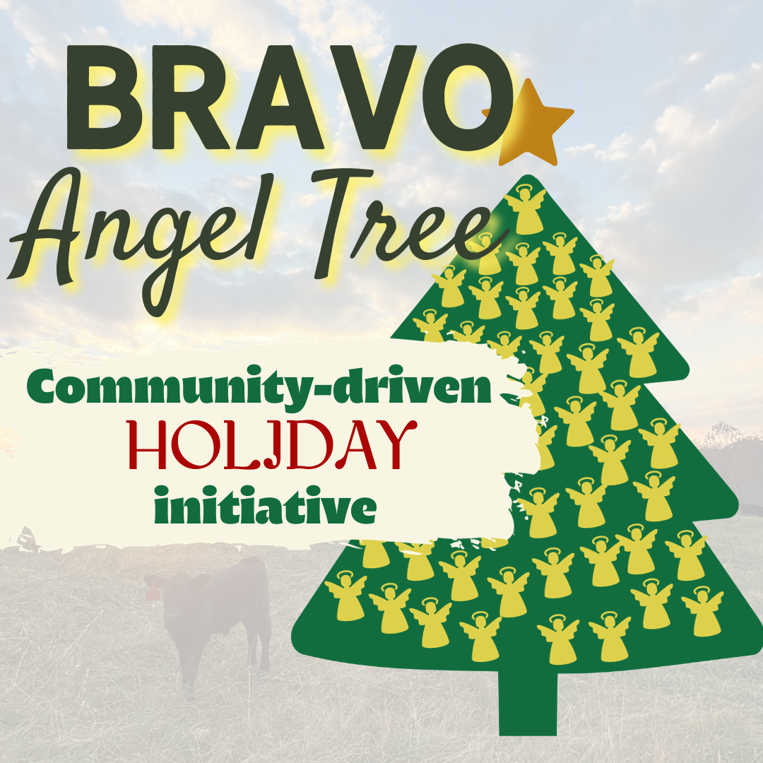 BRAVO Angel Tree Donor - $50
