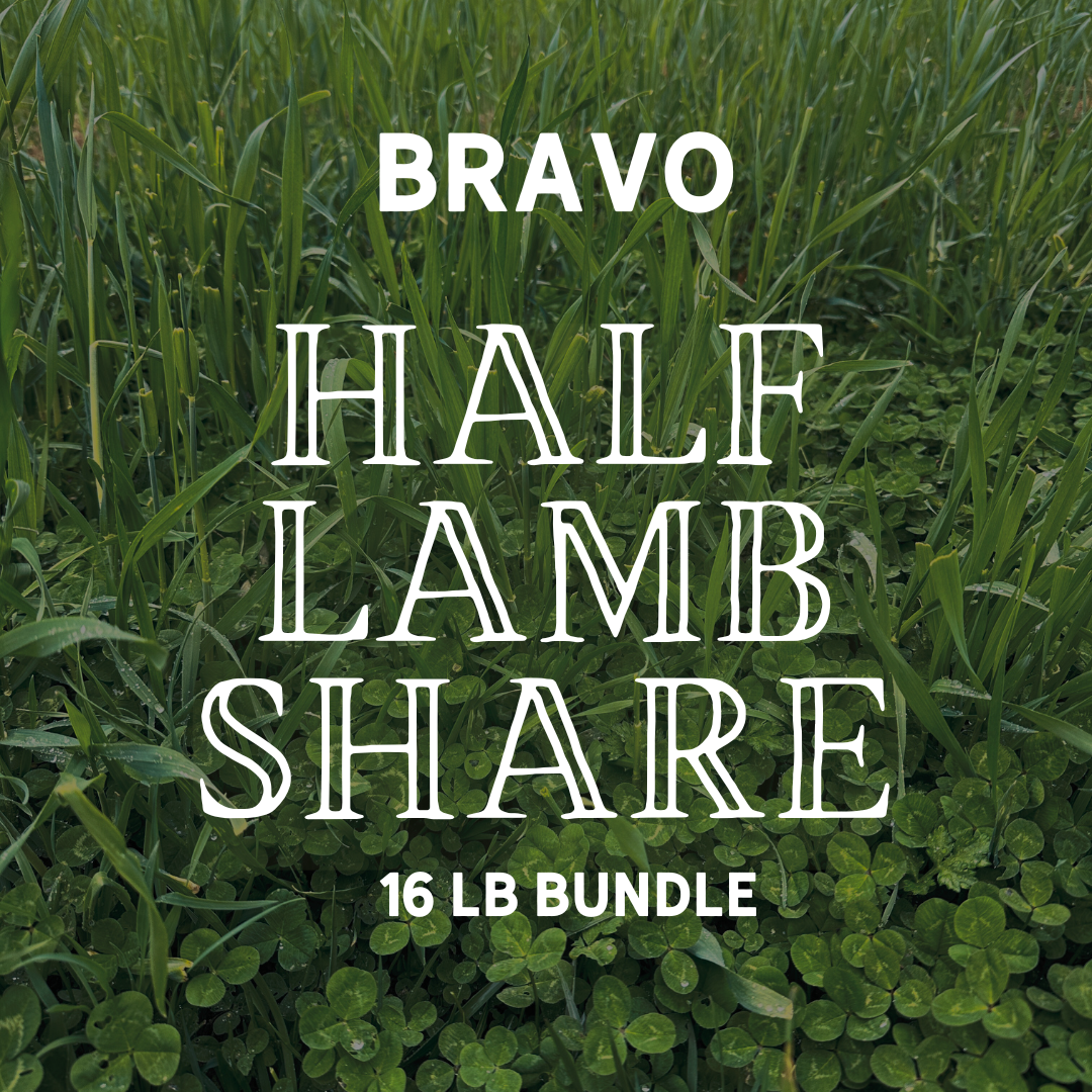 Half Lamb Share - 16 lb bundle of delicious local LAMB