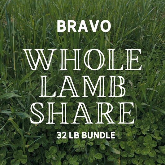 Whole Lamb Share - 32 lb bundle of delicious local LAMB
