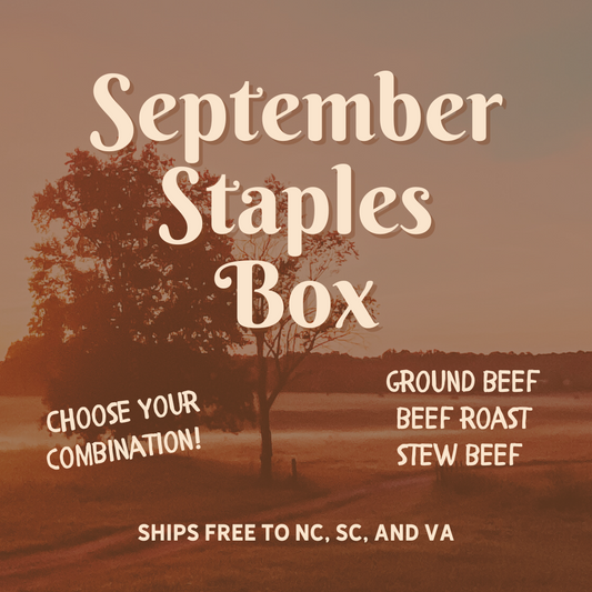 September Staples Box - ships FREE to NC, SC, and VA